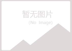 柯城区夏岚水泥有限公司